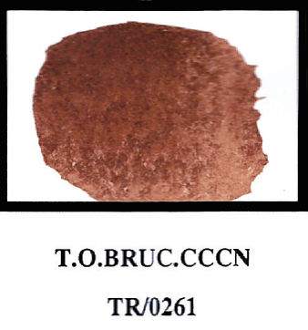 cod. TR0261 terra ombra bruciata cccn